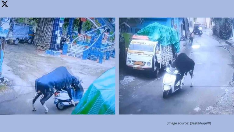 Watch Bull Takes A Scooter “Test Ride” In Rishikesh