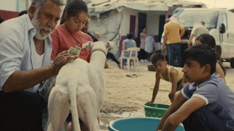 Spain’s Top Titles at This Year’s Cannes, Marché du Film