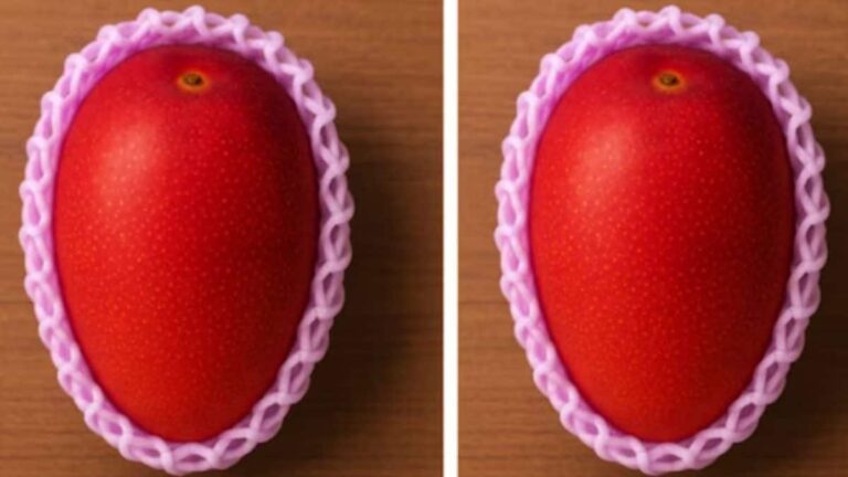 ‘Egg Of The Sun’: This Rare Japanese Mango Costs More Than Diamonds